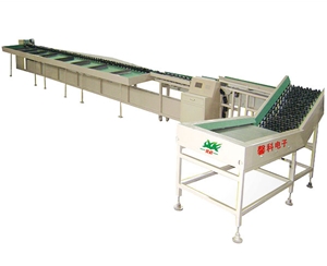 電子數控XKDZ160-2型自動分選機